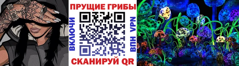 Псилоцибиновые грибы Magic Shrooms  продажа наркотиков  Ивантеевка 